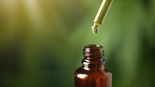 ¿Qué es el extracto de kratom y por qué es tan popular?