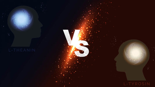 What is the difference between L-Theanine and L-Tyrosine?