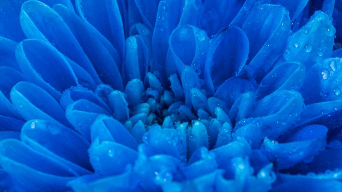 ¿Qué es el azul de metileno y cuáles son sus efectos?