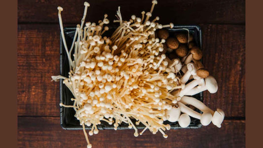 ¿Cuáles son los efectos del Cordyceps y cuándo se debe tomar?