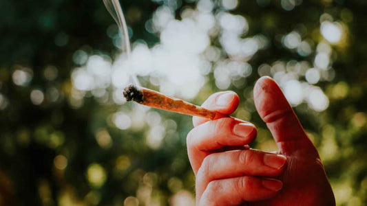 How do you roll a joint? After reading this, anyone can do it