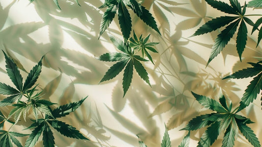 New cannabinoids HHC-A1 and THC-1R