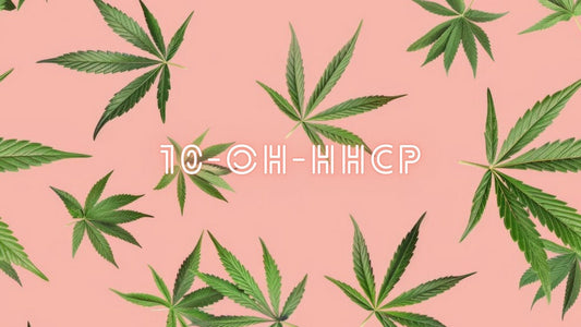 ¿Qué es el 10-OH-HHCP?