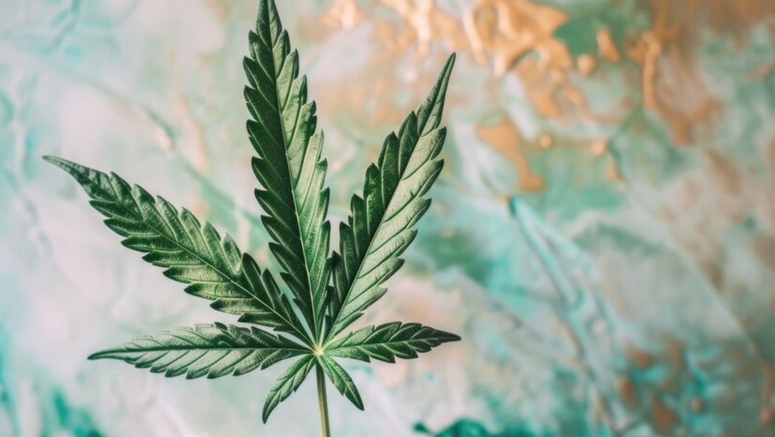 Legal status of CBD in different countries Overview and changes