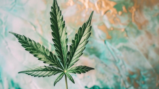 Estatus legal del CBD en diferentes países Resumen y cambios