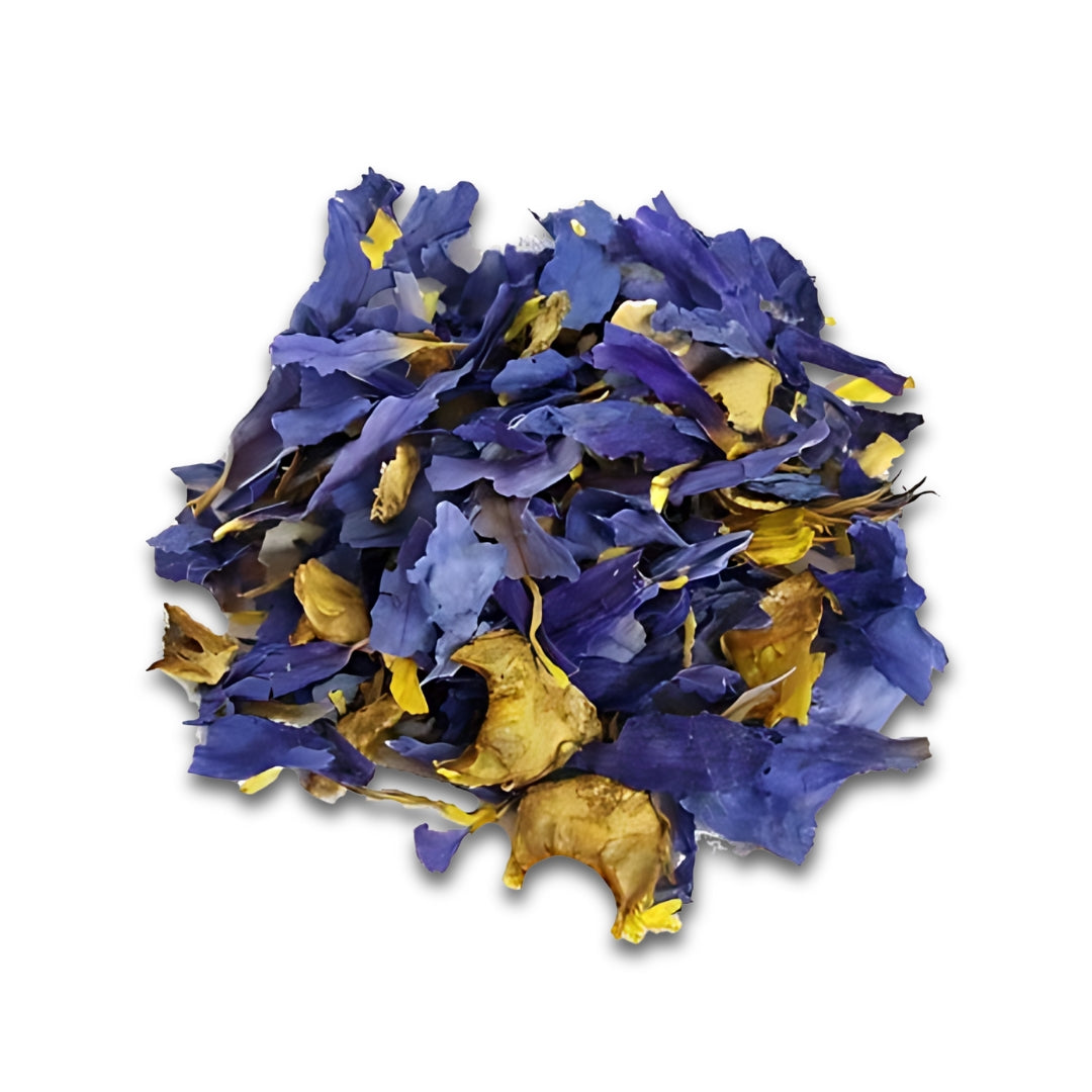 Lirio de agua azul (Loto azul) Nymphae Caerulea