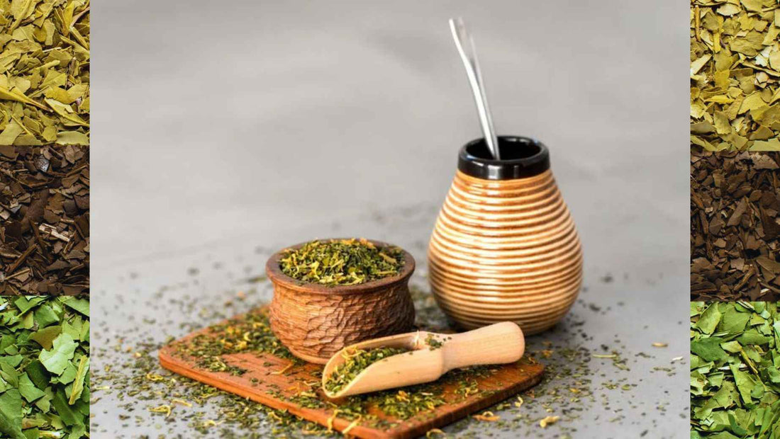 ¿Cuánta yerba mate se consume al día y cuánta cafeína contiene?