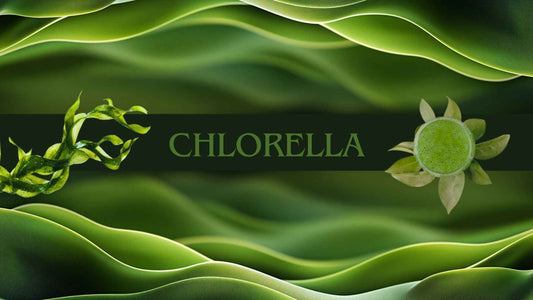 3 razones principales para tomar Chlorella