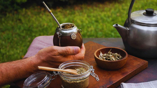 ¿Qué es la yerba mate y cuáles son sus efectos?