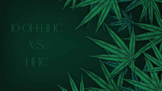 10-OH-HHC vs. classic HHC