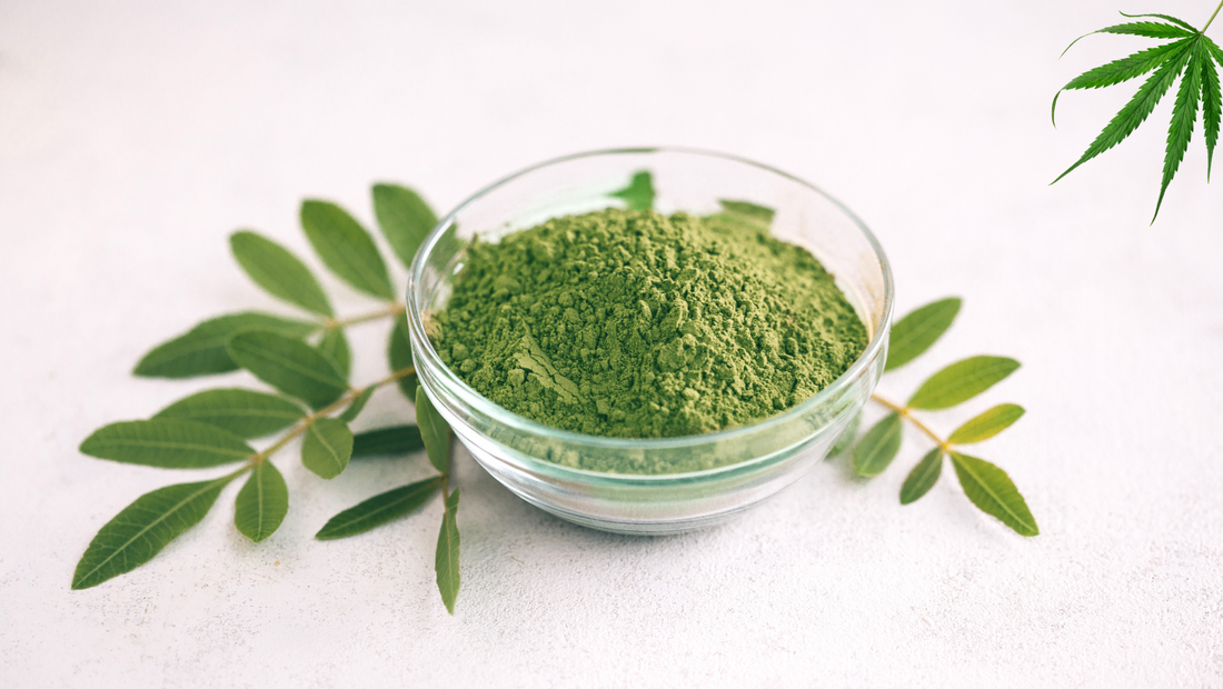 Kratom y Spannabis: ¿Qué papel juega en la feria de cannabis más grande de Europa?