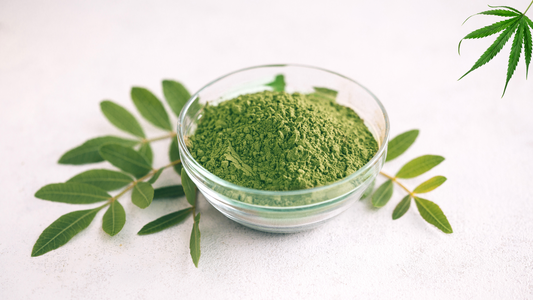 Kratom y Spannabis: ¿Qué papel juega en la feria de cannabis más grande de Europa?