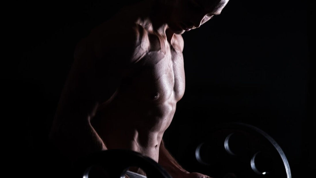 3 razones para tomar monohidrato de creatina