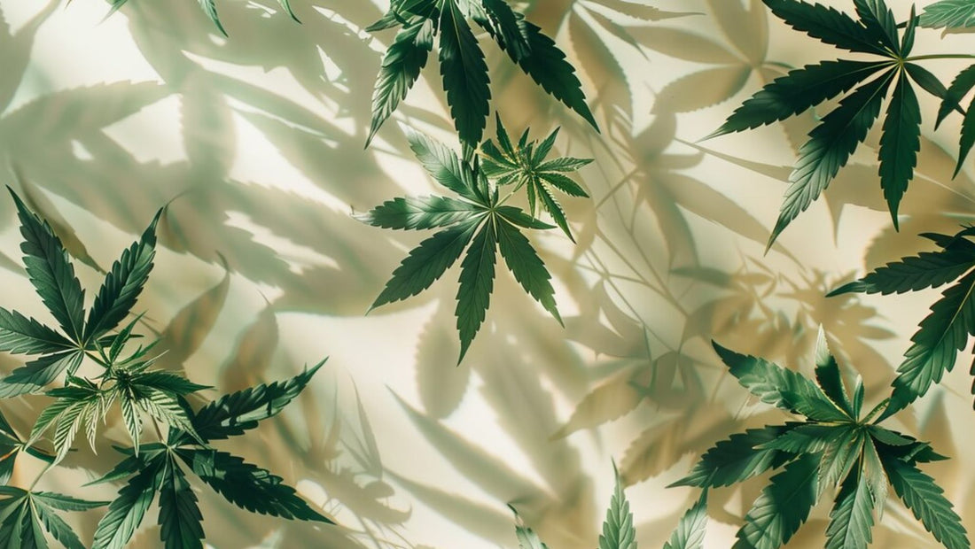 Nuevos cannabinoides HHC-A1 y THC-1R