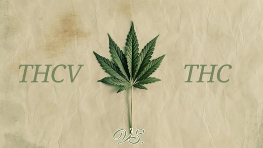 THCV frente al THC clásico