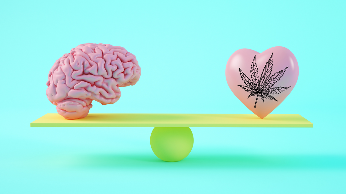 ¿El HHC es bueno para el cerebro? Todo lo que necesitas saber.