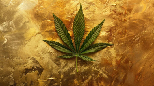 Venta de H4CBD