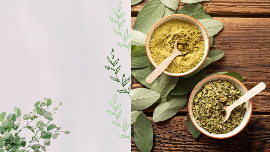El kratom verde y sus efectos