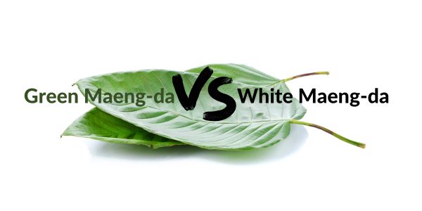 Maeng-da verde frente a Maeng-da blanco: ¿qué kratom es mejor y por qué?
