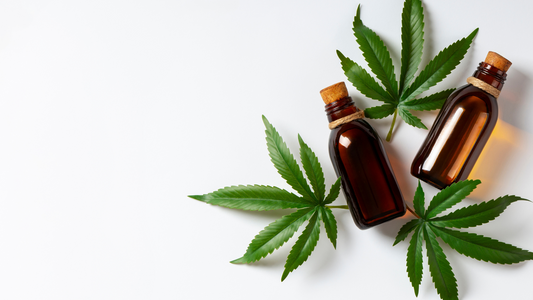 Prohibición de HHC en España y nuevas alternativas