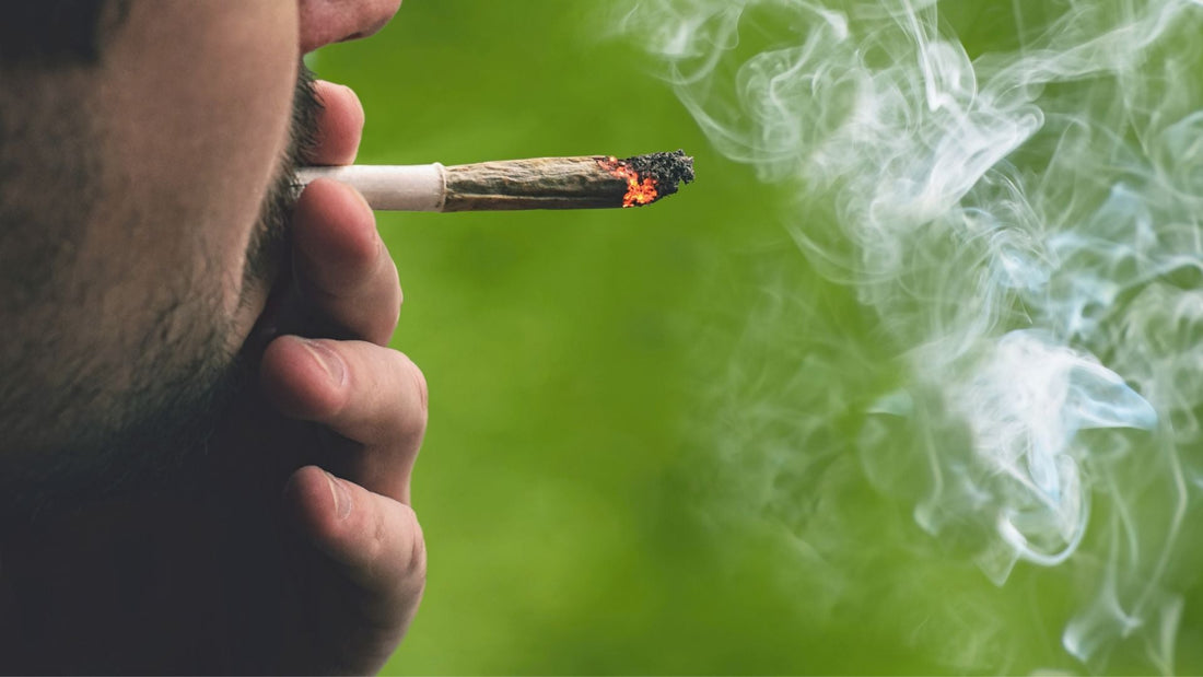 ¿Cuál es el HHC más potente?