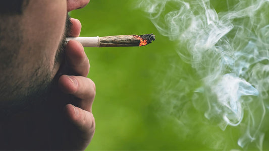 ¿Cuál es el HHC más potente?