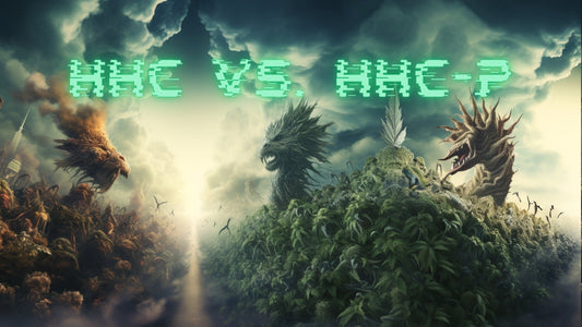 HHC-P frente a HHC: ¿Es el HHC-P mejor que el HHC?