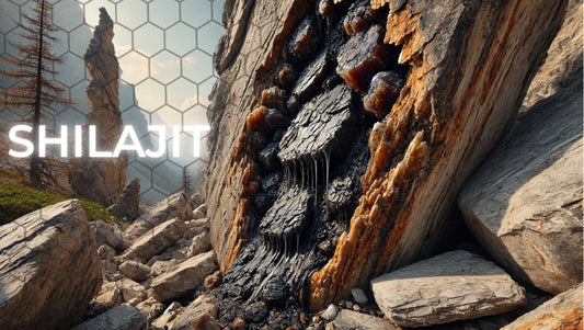 ¿Qué es el shilajit? Fortalecimiento corporal procedente del Himalaya.