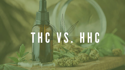 HHC frente a THC: ¿cuál es mejor?