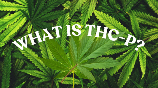 ¿Qué es el THC-P y cuál es su potencial?