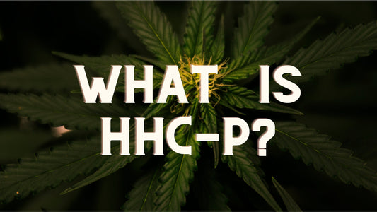 ¿Qué es el HHC-P?
