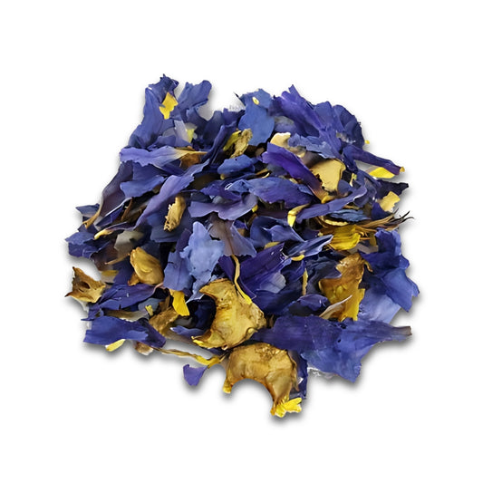 Lirio de agua azul (Loto azul) Nymphae Caerulea