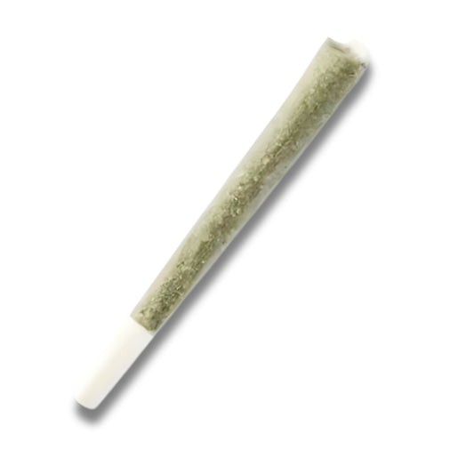 Porro Gelato con THC-R 15%