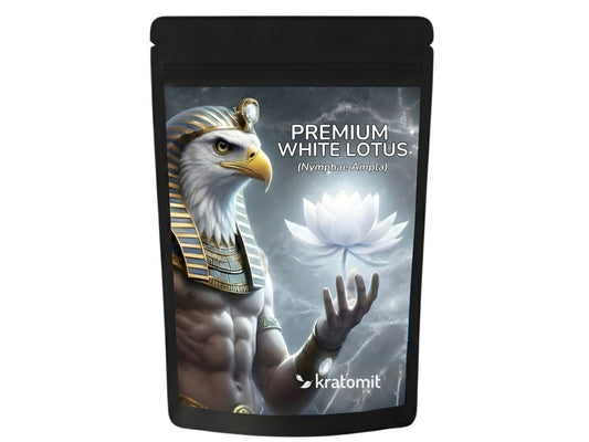 Lirio de agua blanco (White Lotus) Nymphaea ampla